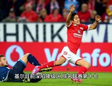 开云体育官网-霍芬海姆客场逼平对手，积分持平