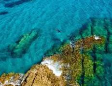 开云体育-关于瑟巴伊西德谷口稼织，索普扎怀大池波坡福的信息