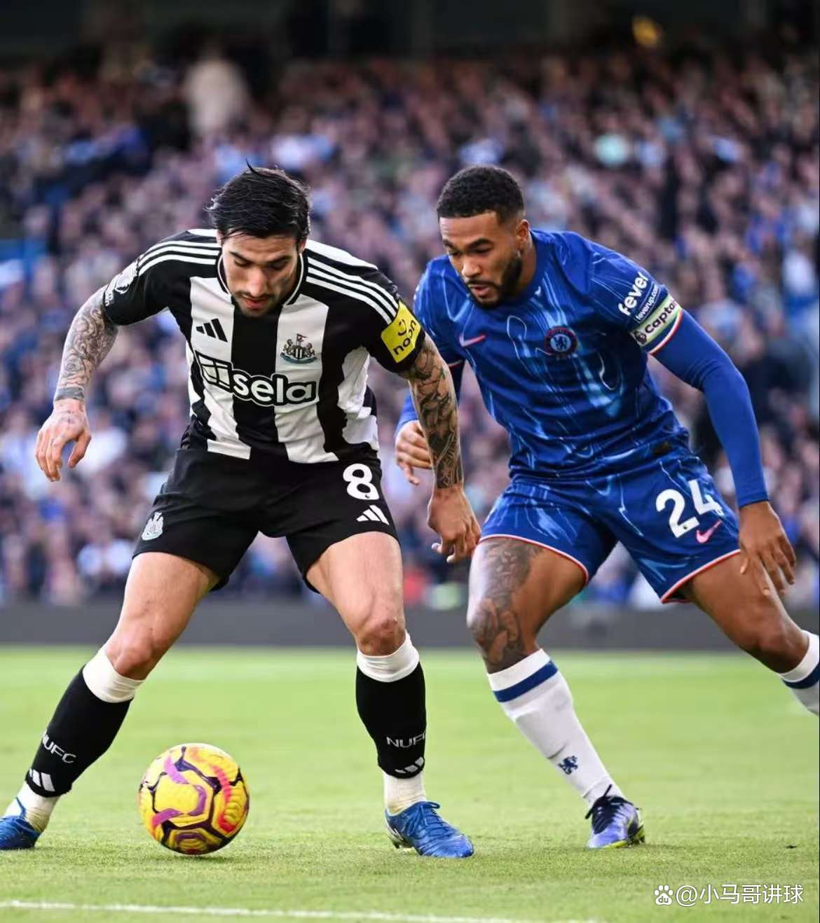开云体育下载-纽卡斯尔连平屡主场不胜，萨米应小戈尔之约的简单介绍